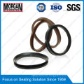 NBR/FKM Material Vl Profile Rotary Shaft V Seal Ring